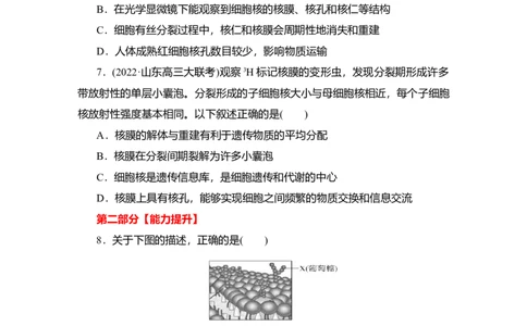 夯基提能练4细胞膜和细胞核-备战2023高考生物一轮复习夯基提能练（全国通用）（原卷版）_通用版（老高考）复习资料_2023年复习资料_一轮复习