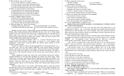 安徽省部分学校2026届高三3月联考英语_2024-2026高三（6-6月题库）_2026年03月高三试卷_2603162026届安徽合肥市第八中学高三下学期3月模拟预测（全科）