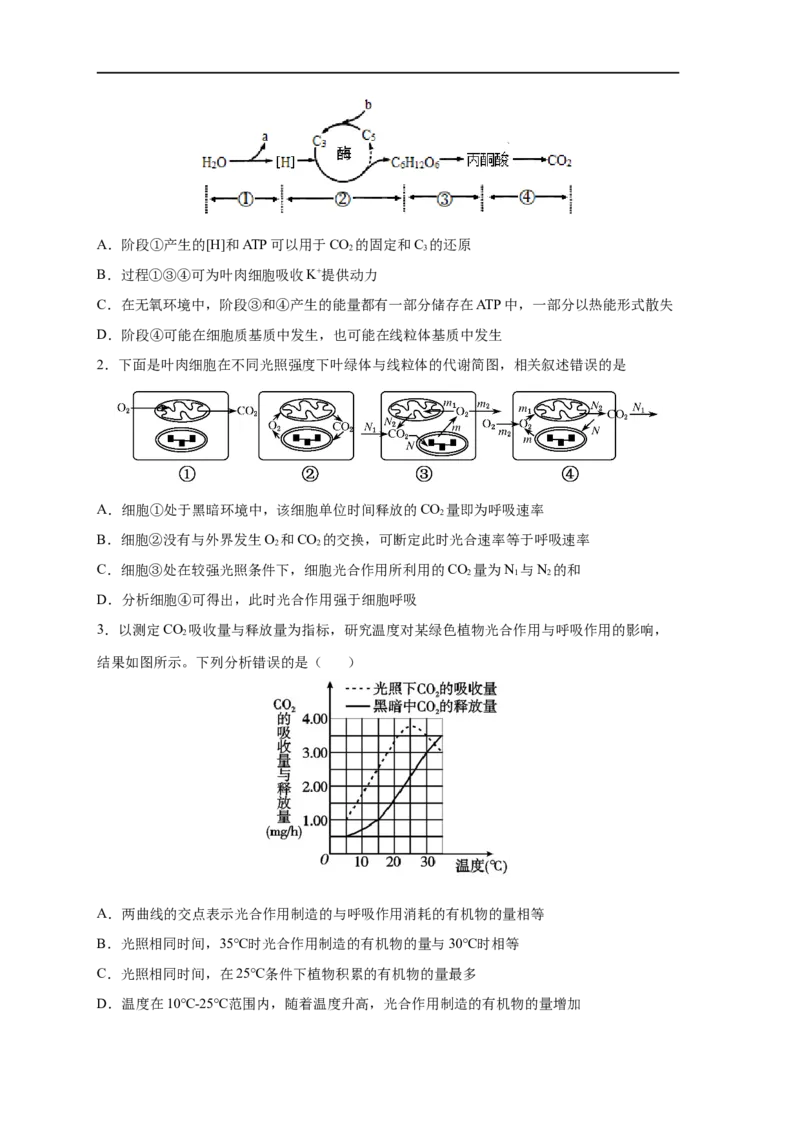易错点09光合作用与呼吸作用-备战2023年高考生物考试易错题（新教材新高考）（原卷版）_新高考复习资料_2023年新高考复习资料_专项复习_备战2023年高考生物考试易错题（新教材新高考）