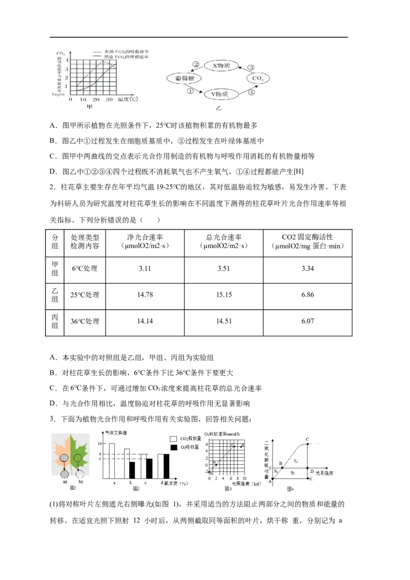 易错点09光合作用与呼吸作用-备战2023年高考生物考试易错题（新教材新高考）（原卷版）_新高考复习资料_2023年新高考复习资料_专项复习_备战2023年高考生物考试易错题（新教材新高考）