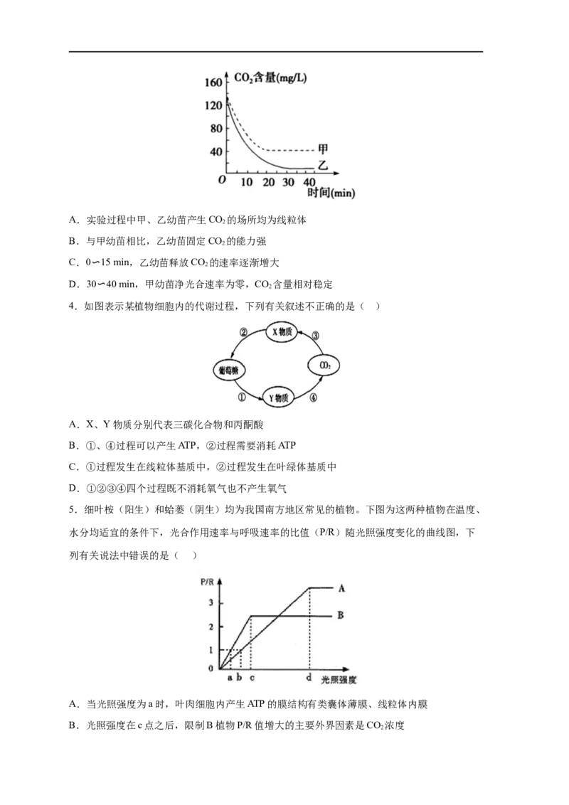 易错点09光合作用与呼吸作用-备战2023年高考生物考试易错题（新教材新高考）（原卷版）_新高考复习资料_2023年新高考复习资料_专项复习_备战2023年高考生物考试易错题（新教材新高考）