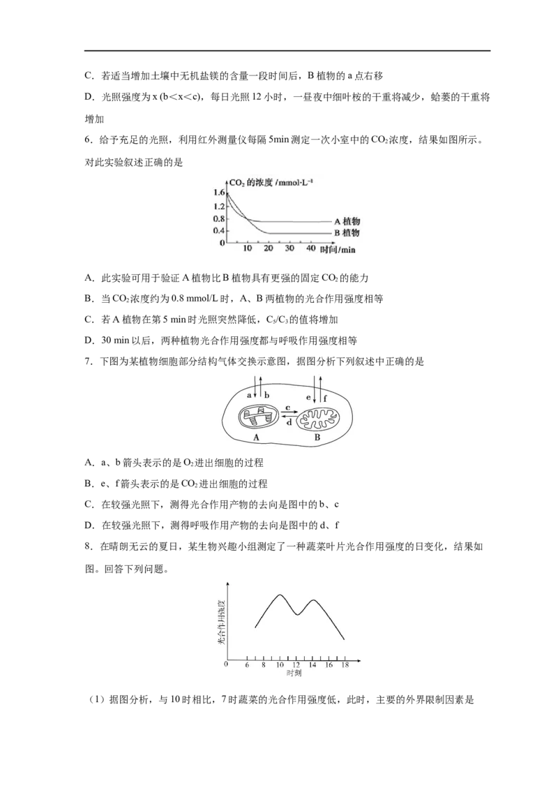 易错点09光合作用与呼吸作用-备战2023年高考生物考试易错题（新教材新高考）（原卷版）_新高考复习资料_2023年新高考复习资料_专项复习_备战2023年高考生物考试易错题（新教材新高考）