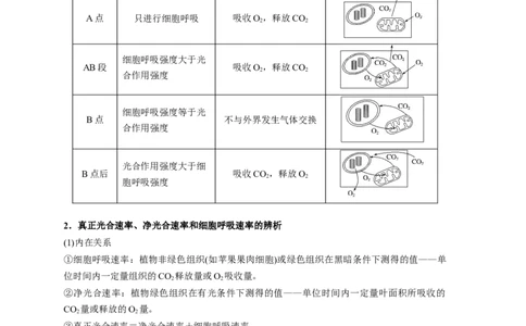 易错点09光合作用与呼吸作用-备战2023年高考生物考试易错题（新教材新高考）（原卷版）_新高考复习资料_2023年新高考复习资料_专项复习_备战2023年高考生物考试易错题（新教材新高考）
