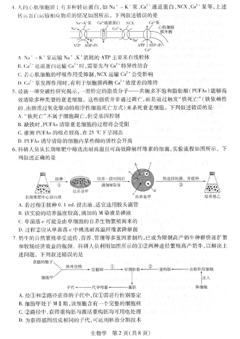 生物试卷-2026山西多校高三大联考4.23-24（含答案）_2024-2026高三（6-6月题库）_2026年04月高三试卷_260426山西、陕西ty大联考高三4月23-24联考（全科）