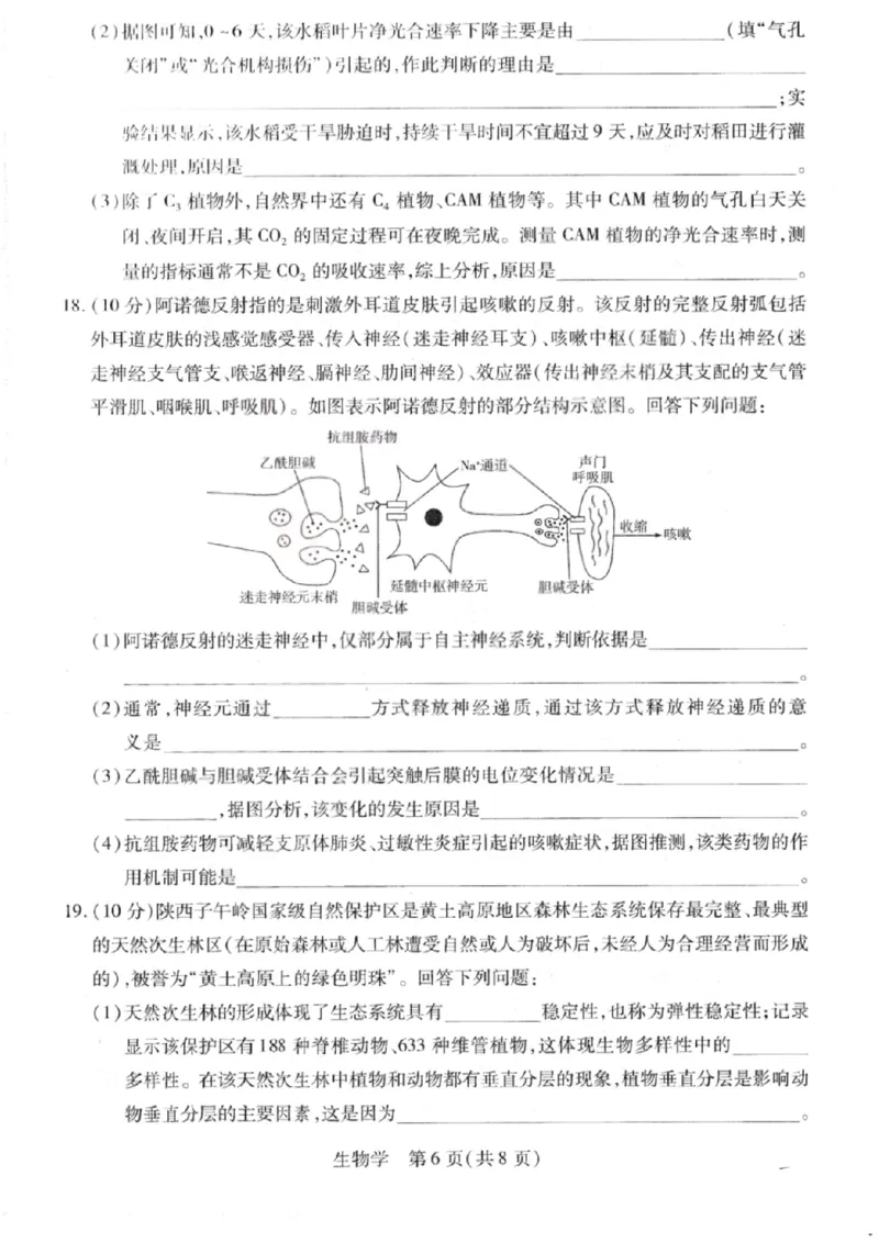 生物试卷-2026山西多校高三大联考4.23-24（含答案）_2024-2026高三（6-6月题库）_2026年04月高三试卷_260426山西、陕西ty大联考高三4月23-24联考（全科）