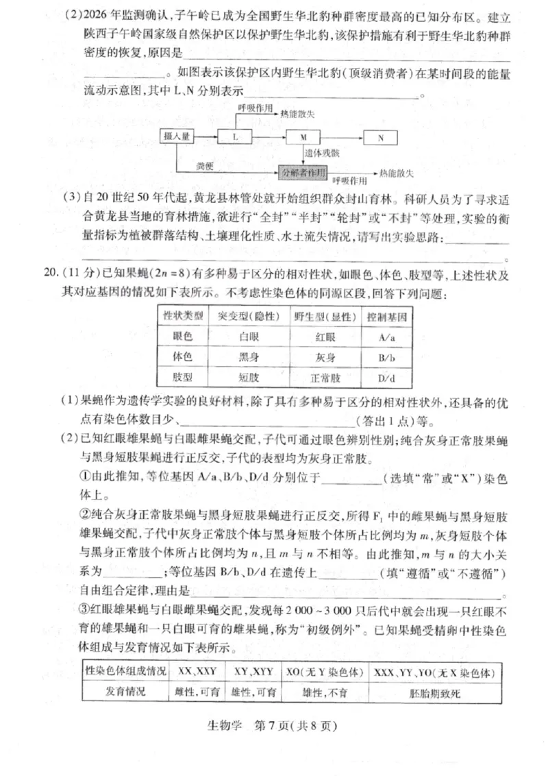 生物试卷-2026山西多校高三大联考4.23-24（含答案）_2024-2026高三（6-6月题库）_2026年04月高三试卷_260426山西、陕西ty大联考高三4月23-24联考（全科）