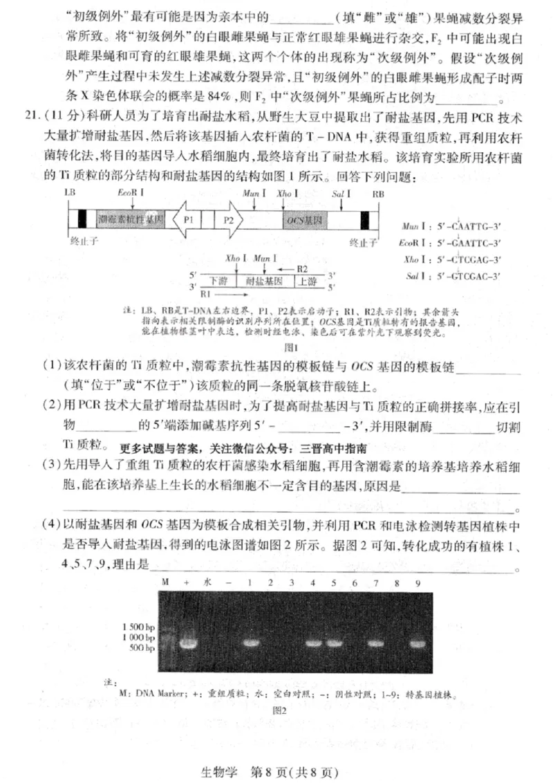 生物试卷-2026山西多校高三大联考4.23-24（含答案）_2024-2026高三（6-6月题库）_2026年04月高三试卷_260426山西、陕西ty大联考高三4月23-24联考（全科）