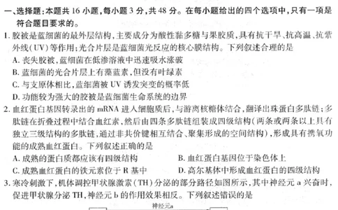 生物试卷-2026山西多校高三大联考4.23-24（含答案）_2024-2026高三（6-6月题库）_2026年04月高三试卷_260426山西、陕西ty大联考高三4月23-24联考（全科）