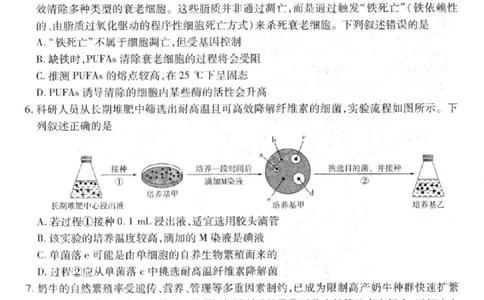 生物试卷-2026山西多校高三大联考4.23-24（含答案）_2024-2026高三（6-6月题库）_2026年04月高三试卷_260426山西、陕西ty大联考高三4月23-24联考（全科）