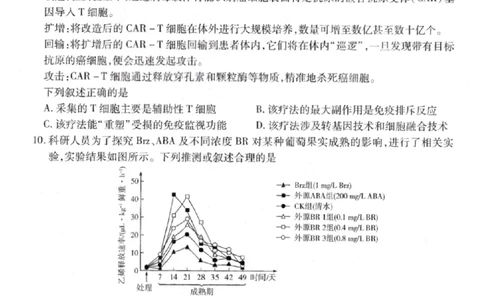 生物试卷-2026山西多校高三大联考4.23-24（含答案）_2024-2026高三（6-6月题库）_2026年04月高三试卷_260426山西、陕西ty大联考高三4月23-24联考（全科）