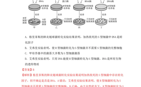 易错点08遗传物质探索实验中的&ldquo;三个&rdquo;误区（解析版）_新高考复习资料_2024年新高考复习资料_❤专项复习资料_完备战2024年高考生物考试易错题（新高考专用）