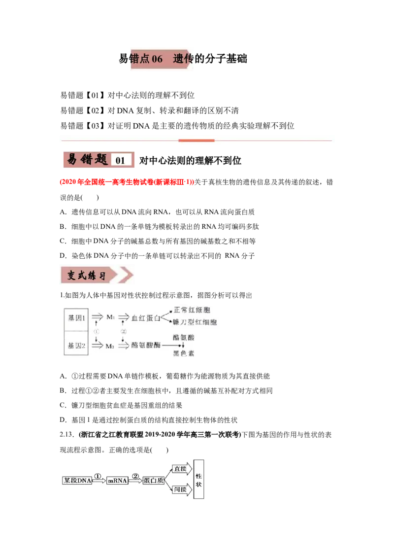 易错点06遗传的分子基础-2021年高考生物一轮复习易错题（学生版）_新高考复习资料_2023年新高考复习资料_一轮复习_2023年新高考大一轮复习讲义_赠2021年高考生物一轮复习易错题