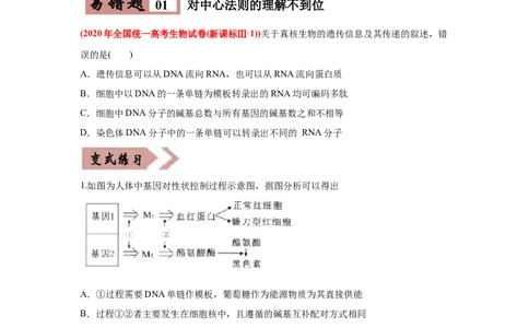 易错点06遗传的分子基础-2021年高考生物一轮复习易错题（学生版）_新高考复习资料_2023年新高考复习资料_一轮复习_2023年新高考大一轮复习讲义_赠2021年高考生物一轮复习易错题