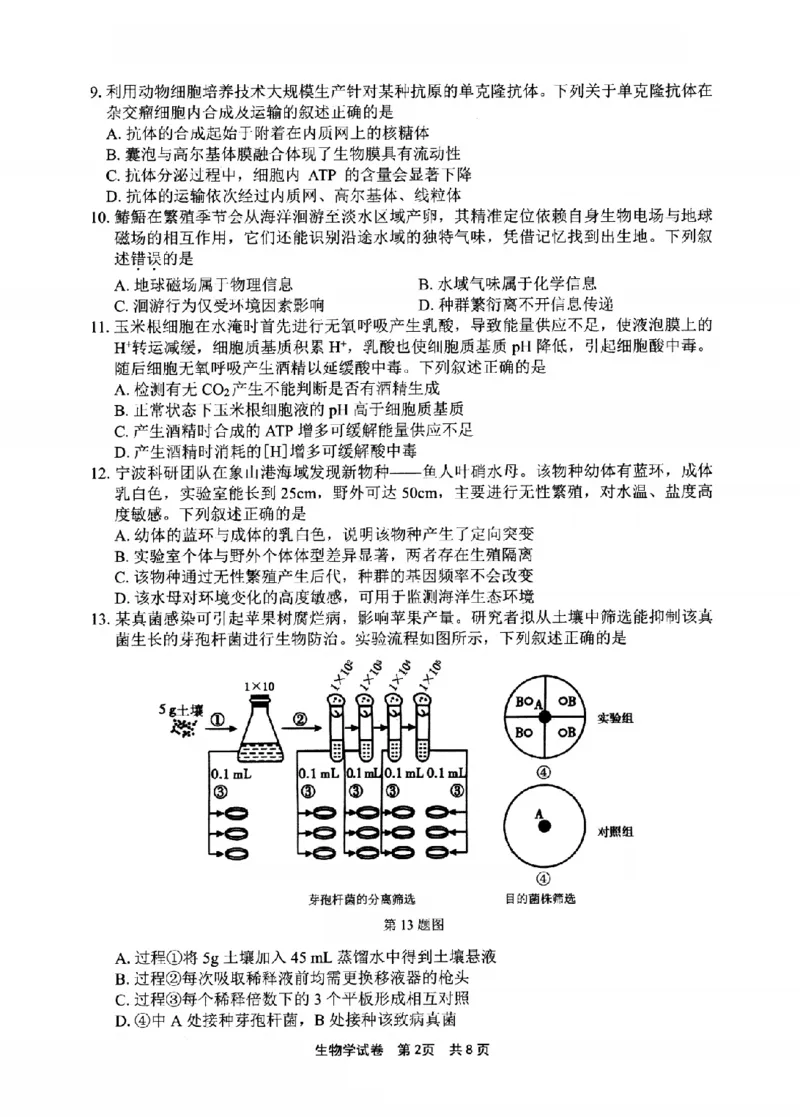 宁波市2025学年第二学期高考模拟考试生物_2024-2026高三（6-6月题库）_2026年04月高三试卷_260413浙江省宁波市2025-2026学年高三下学期高考模拟考试（全科）