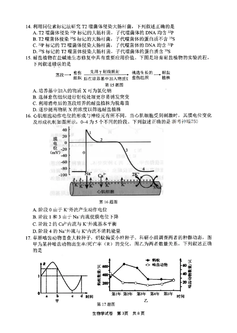 宁波市2025学年第二学期高考模拟考试生物_2024-2026高三（6-6月题库）_2026年04月高三试卷_260413浙江省宁波市2025-2026学年高三下学期高考模拟考试（全科）