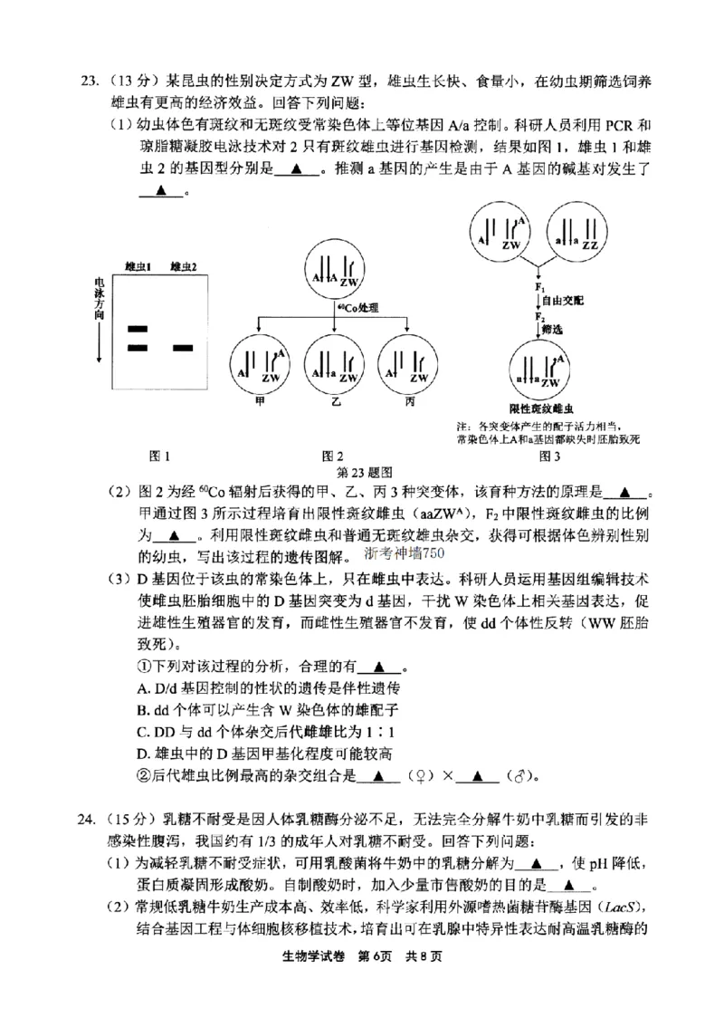 宁波市2025学年第二学期高考模拟考试生物_2024-2026高三（6-6月题库）_2026年04月高三试卷_260413浙江省宁波市2025-2026学年高三下学期高考模拟考试（全科）