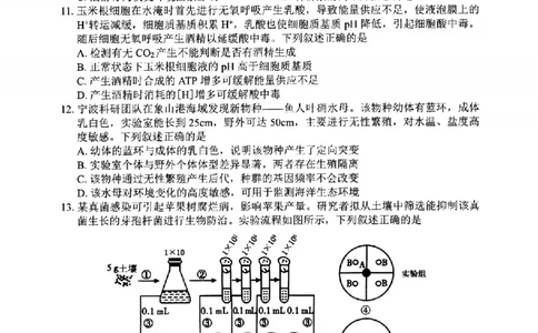 宁波市2025学年第二学期高考模拟考试生物_2024-2026高三（6-6月题库）_2026年04月高三试卷_260413浙江省宁波市2025-2026学年高三下学期高考模拟考试（全科）