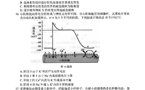 宁波市2025学年第二学期高考模拟考试生物_2024-2026高三（6-6月题库）_2026年04月高三试卷_260413浙江省宁波市2025-2026学年高三下学期高考模拟考试（全科）
