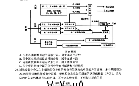 宁波市2025学年第二学期高考模拟考试生物_2024-2026高三（6-6月题库）_2026年04月高三试卷_260413浙江省宁波市2025-2026学年高三下学期高考模拟考试（全科）