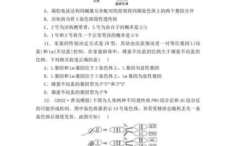 夯基提能练17人类遗传病-备战2023高考生物一轮复习夯基提能练（全国通用）（原卷版）_通用版（老高考）复习资料_2023年复习资料_一轮复习