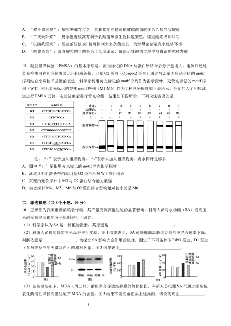 成都石室中学2025-2026学年度下期高2026届4月专项训练生物_2024-2026高三（6-6月题库）_2026年04月高三试卷_260423四川省成都石室中学2025-2026学年度下期高2026届4月专项训练（全科）