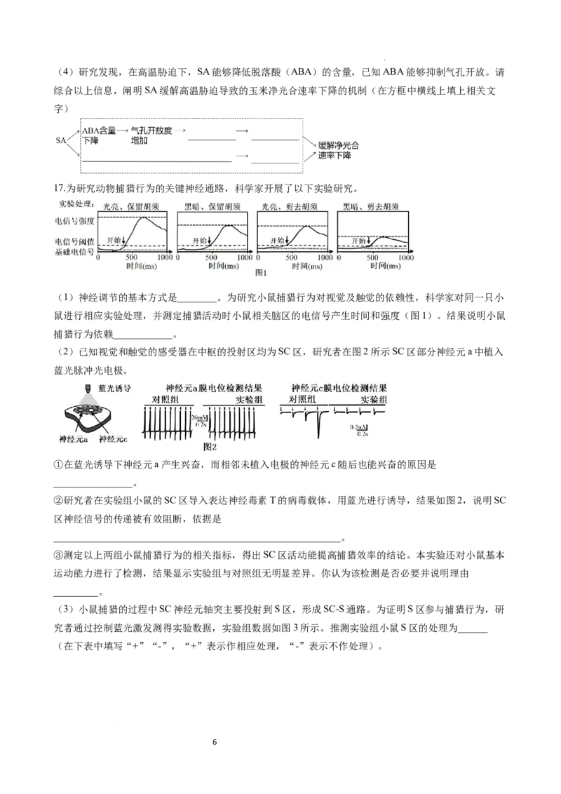 成都石室中学2025-2026学年度下期高2026届4月专项训练生物_2024-2026高三（6-6月题库）_2026年04月高三试卷_260423四川省成都石室中学2025-2026学年度下期高2026届4月专项训练（全科）