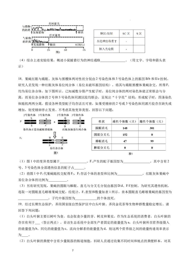 成都石室中学2025-2026学年度下期高2026届4月专项训练生物_2024-2026高三（6-6月题库）_2026年04月高三试卷_260423四川省成都石室中学2025-2026学年度下期高2026届4月专项训练（全科）