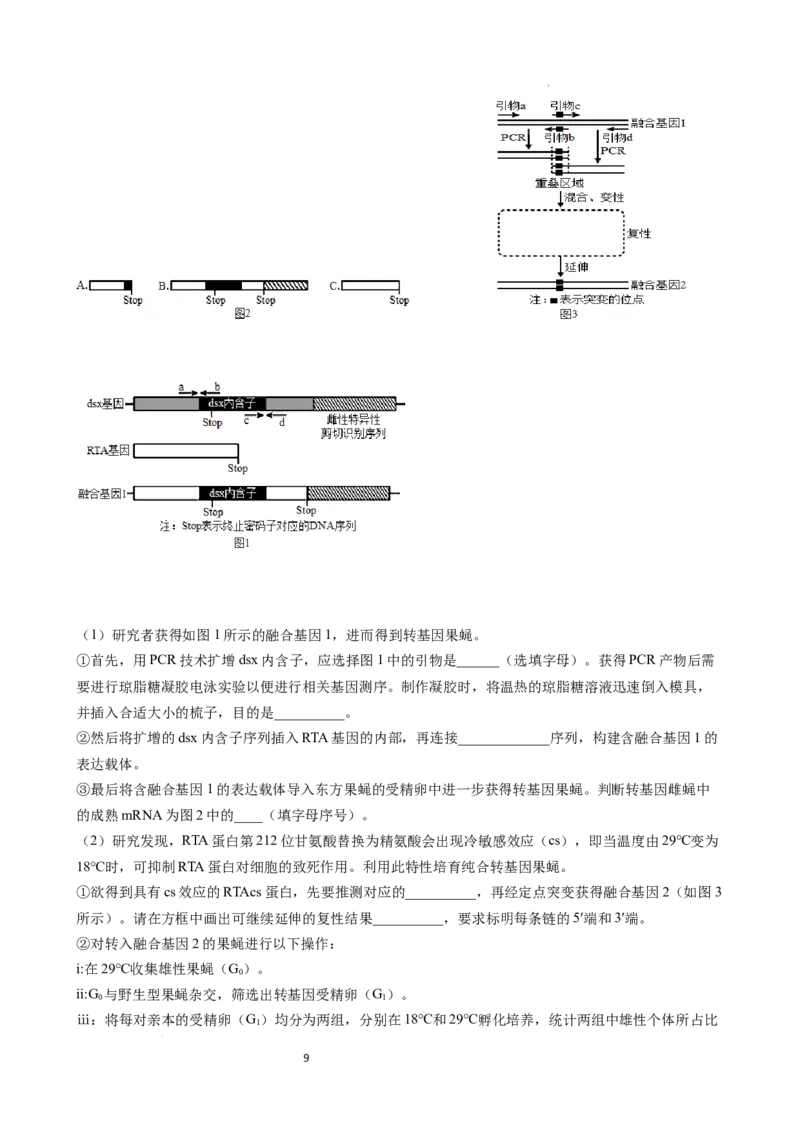 成都石室中学2025-2026学年度下期高2026届4月专项训练生物_2024-2026高三（6-6月题库）_2026年04月高三试卷_260423四川省成都石室中学2025-2026学年度下期高2026届4月专项训练（全科）