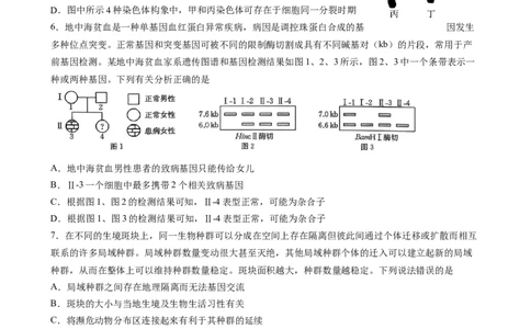 成都石室中学2025-2026学年度下期高2026届4月专项训练生物_2024-2026高三（6-6月题库）_2026年04月高三试卷_260423四川省成都石室中学2025-2026学年度下期高2026届4月专项训练（全科）
