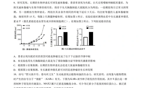 成都石室中学2025-2026学年度下期高2026届4月专项训练生物_2024-2026高三（6-6月题库）_2026年04月高三试卷_260423四川省成都石室中学2025-2026学年度下期高2026届4月专项训练（全科）