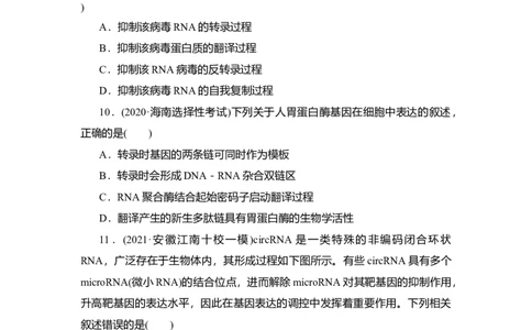 夯基提能练20基因的表达-备战2023高考生物一轮复习夯基提能练（全国通用）（解析版）_通用版（老高考）复习资料_2023年复习资料_一轮复习
