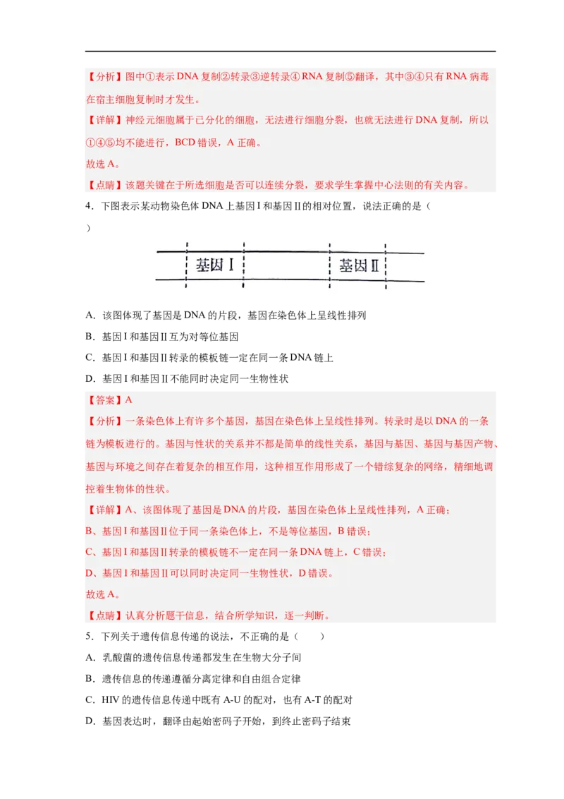 易错点14基因的表达-备战2023年高考生物考试易错题（新教材新高考）（解析版）_新高考复习资料_2023年新高考复习资料_专项复习_备战2023年高考生物考试易错题（新教材新高考）
