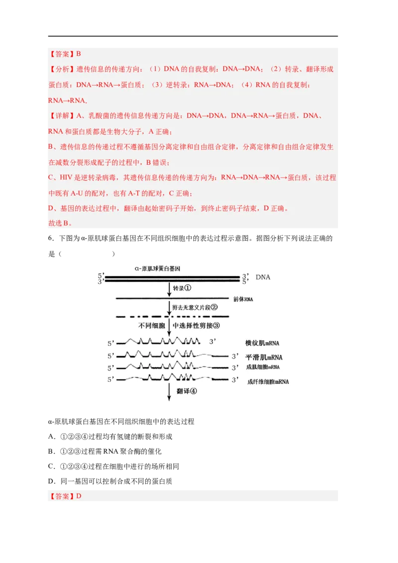 易错点14基因的表达-备战2023年高考生物考试易错题（新教材新高考）（解析版）_新高考复习资料_2023年新高考复习资料_专项复习_备战2023年高考生物考试易错题（新教材新高考）