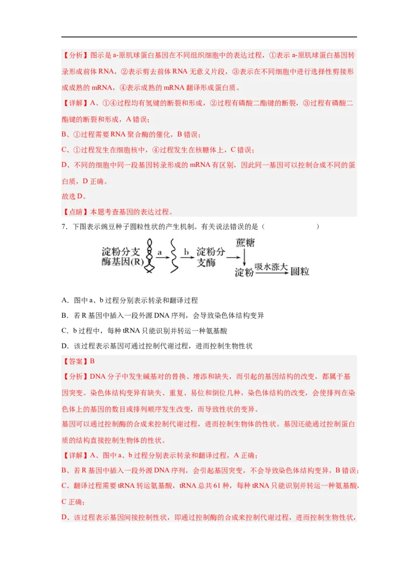 易错点14基因的表达-备战2023年高考生物考试易错题（新教材新高考）（解析版）_新高考复习资料_2023年新高考复习资料_专项复习_备战2023年高考生物考试易错题（新教材新高考）