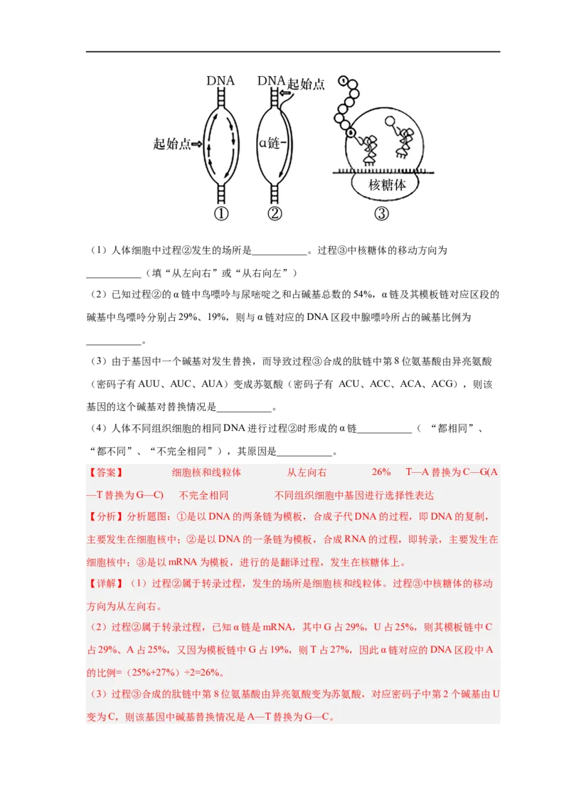易错点14基因的表达-备战2023年高考生物考试易错题（新教材新高考）（解析版）_新高考复习资料_2023年新高考复习资料_专项复习_备战2023年高考生物考试易错题（新教材新高考）