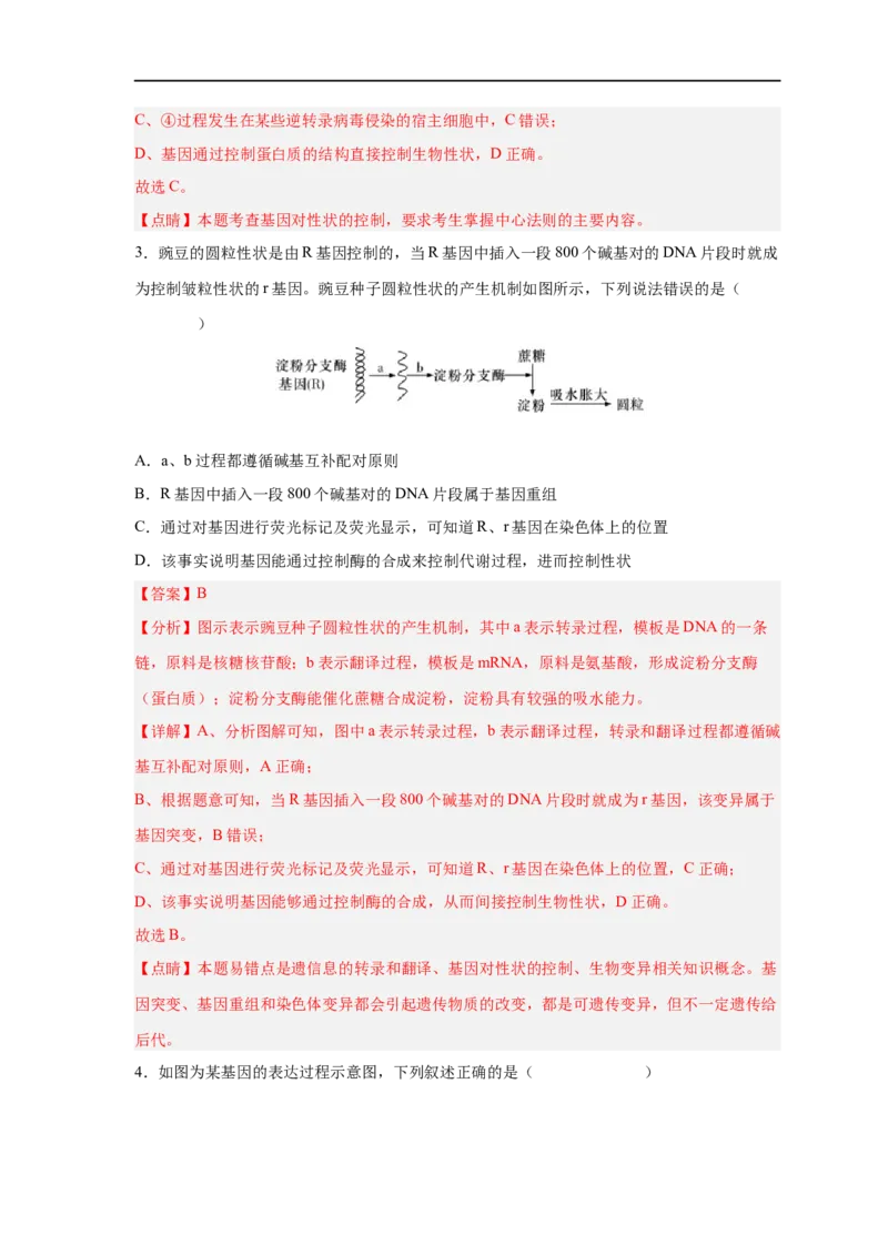 易错点14基因的表达-备战2023年高考生物考试易错题（新教材新高考）（解析版）_新高考复习资料_2023年新高考复习资料_专项复习_备战2023年高考生物考试易错题（新教材新高考）