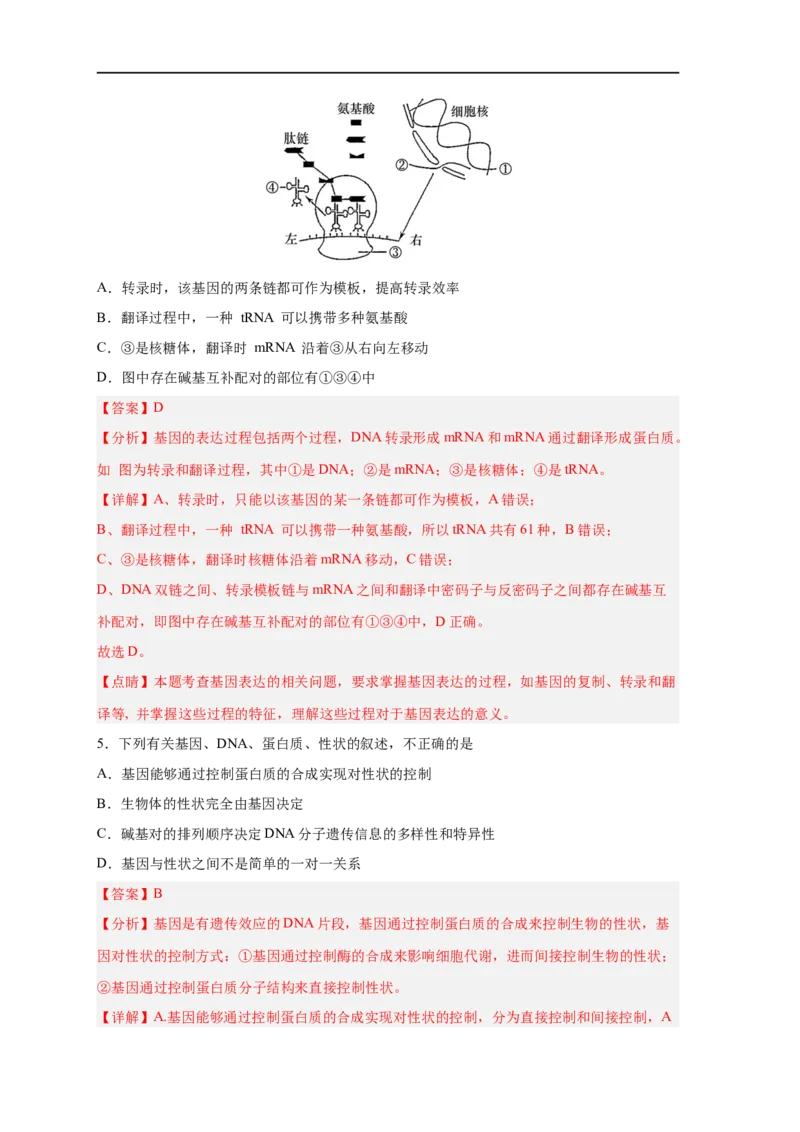 易错点14基因的表达-备战2023年高考生物考试易错题（新教材新高考）（解析版）_新高考复习资料_2023年新高考复习资料_专项复习_备战2023年高考生物考试易错题（新教材新高考）