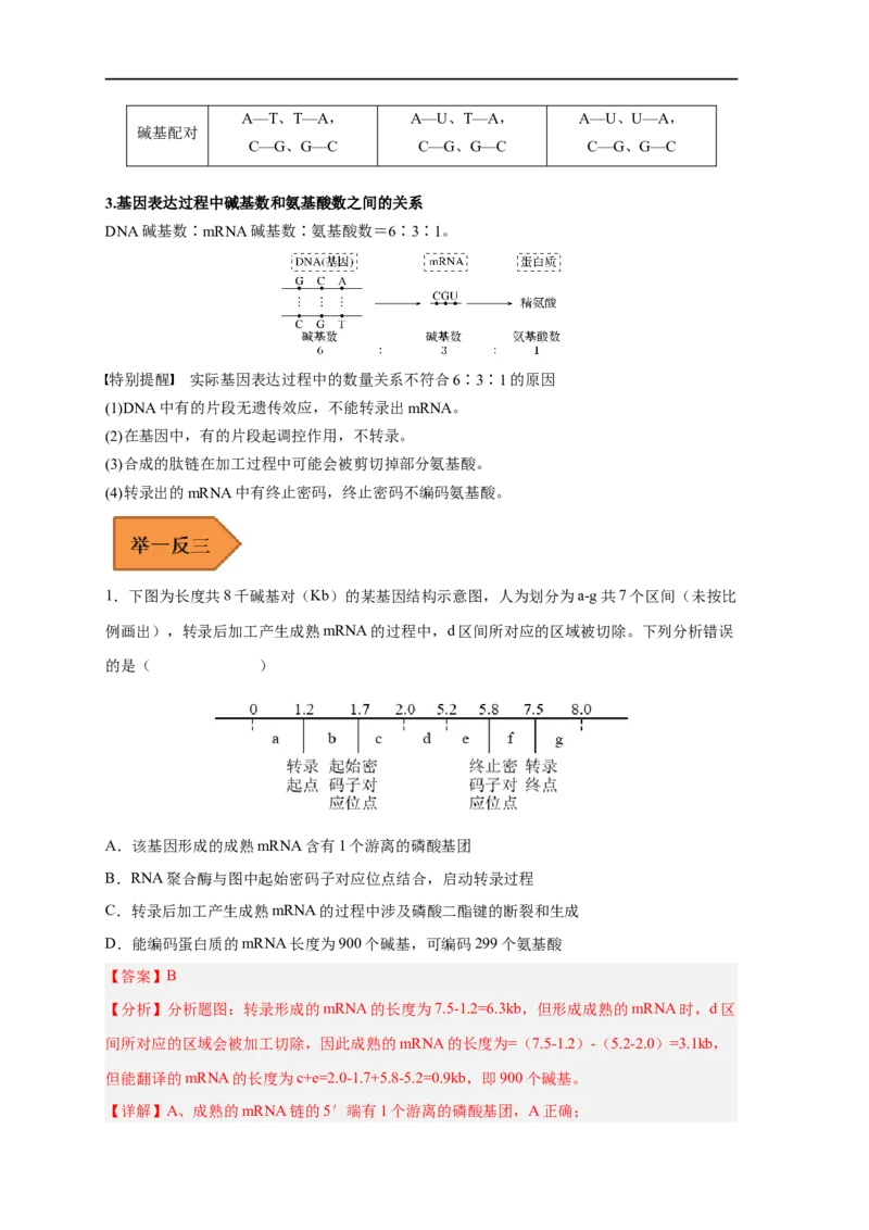 易错点14基因的表达-备战2023年高考生物考试易错题（新教材新高考）（解析版）_新高考复习资料_2023年新高考复习资料_专项复习_备战2023年高考生物考试易错题（新教材新高考）