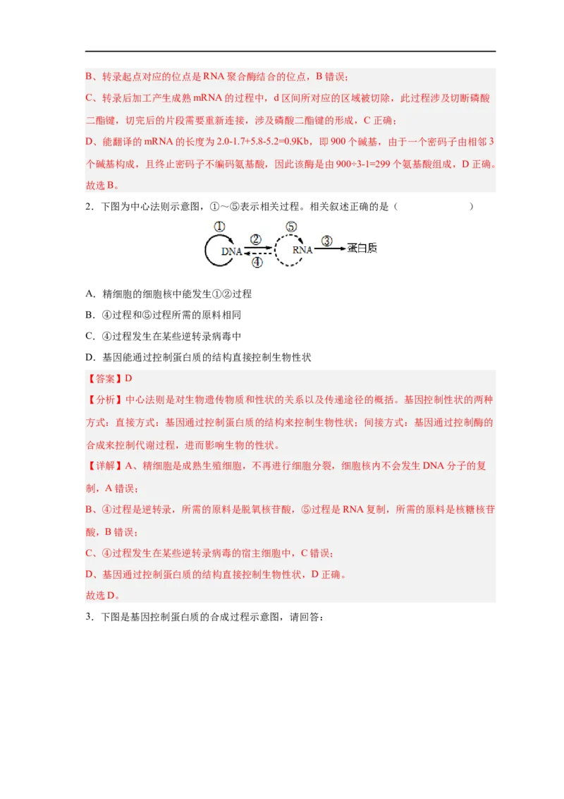 易错点14基因的表达-备战2023年高考生物考试易错题（新教材新高考）（解析版）_新高考复习资料_2023年新高考复习资料_专项复习_备战2023年高考生物考试易错题（新教材新高考）