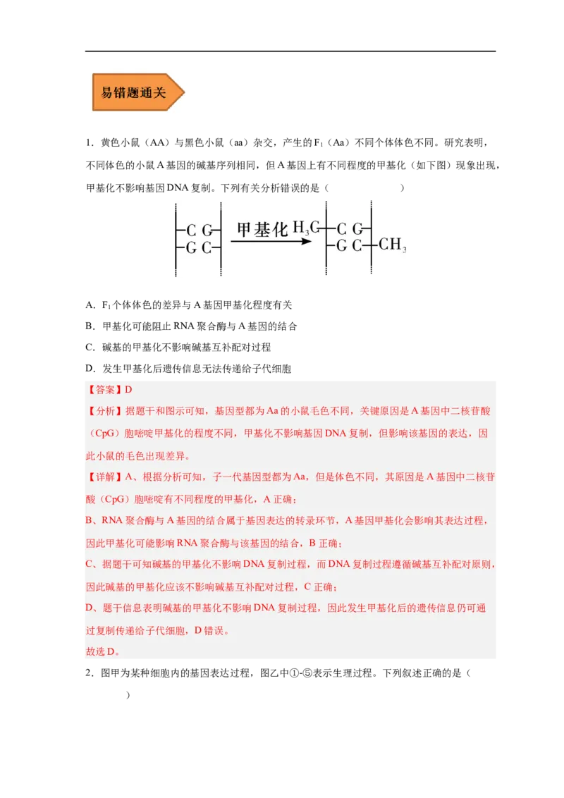易错点14基因的表达-备战2023年高考生物考试易错题（新教材新高考）（解析版）_新高考复习资料_2023年新高考复习资料_专项复习_备战2023年高考生物考试易错题（新教材新高考）