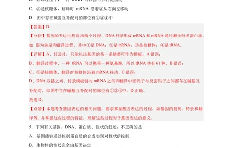 易错点14基因的表达-备战2023年高考生物考试易错题（新教材新高考）（解析版）_新高考复习资料_2023年新高考复习资料_专项复习_备战2023年高考生物考试易错题（新教材新高考）