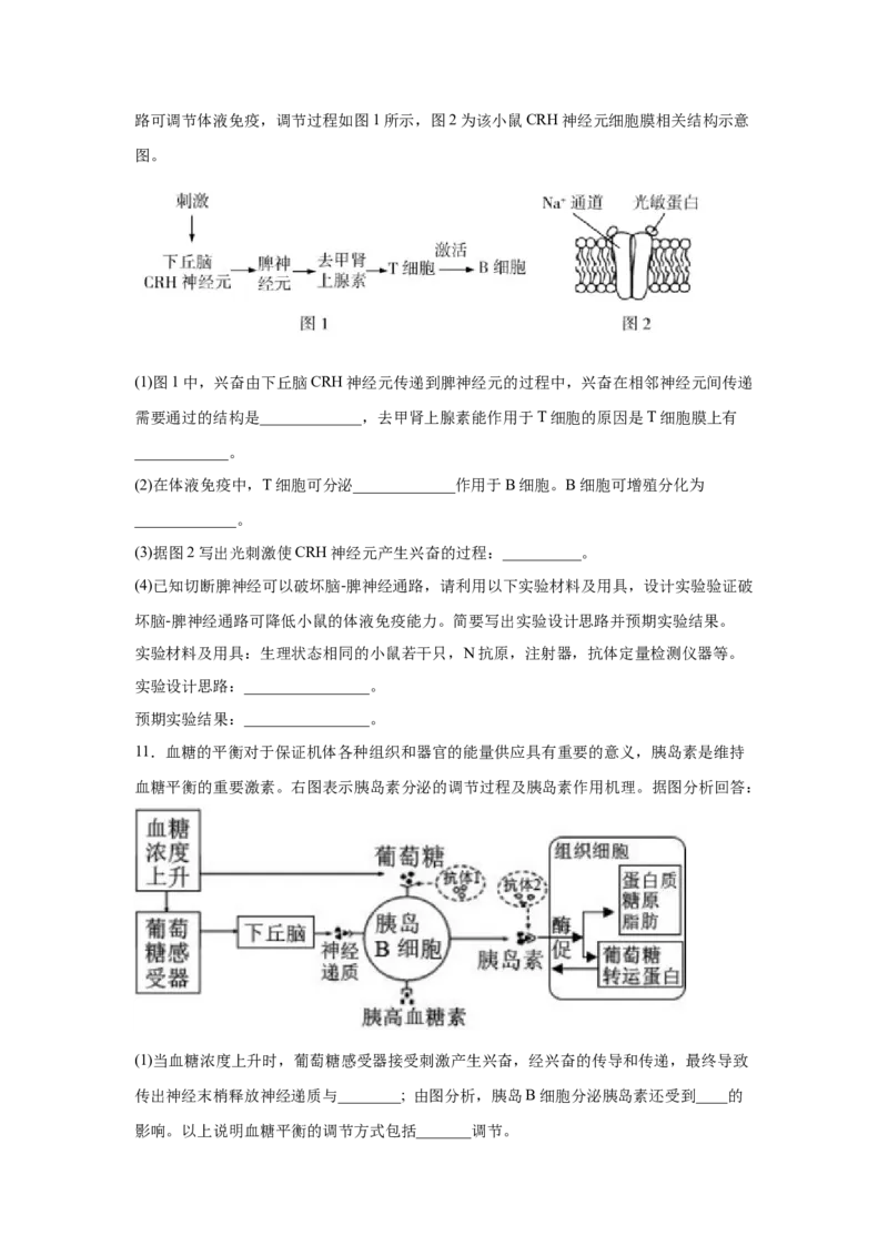 易错点13免疫调节-2021年高考生物一轮复习易错题（学生版）_新高考复习资料_2023年新高考复习资料_一轮复习_2023年新高考大一轮复习讲义_赠2021年高考生物一轮复习易错题