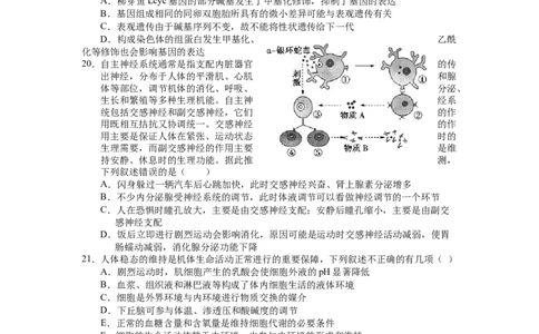 山西省长治市第二中学校2022&mdash;&mdash;2023学年高三上学期第四次月考生物试卷_生物高考模拟题_老高考_2023年