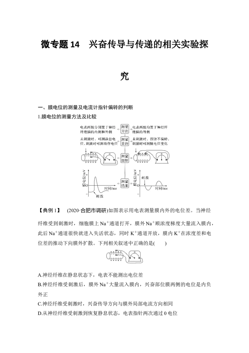 微专题14兴奋传导与传递的相关实验探究_通用版（老高考）复习资料_2023年复习资料_一轮复习_2023年高考生物一轮复习讲义+课件（全国版）_2023年高考生物一轮复习讲义（全国版）
