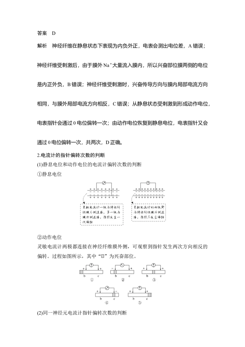 微专题14兴奋传导与传递的相关实验探究_通用版（老高考）复习资料_2023年复习资料_一轮复习_2023年高考生物一轮复习讲义+课件（全国版）_2023年高考生物一轮复习讲义（全国版）