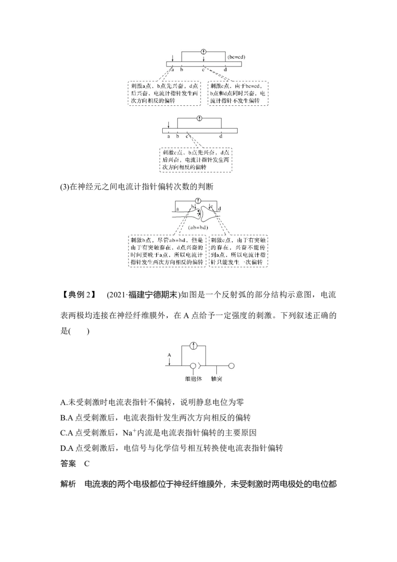 微专题14兴奋传导与传递的相关实验探究_通用版（老高考）复习资料_2023年复习资料_一轮复习_2023年高考生物一轮复习讲义+课件（全国版）_2023年高考生物一轮复习讲义（全国版）
