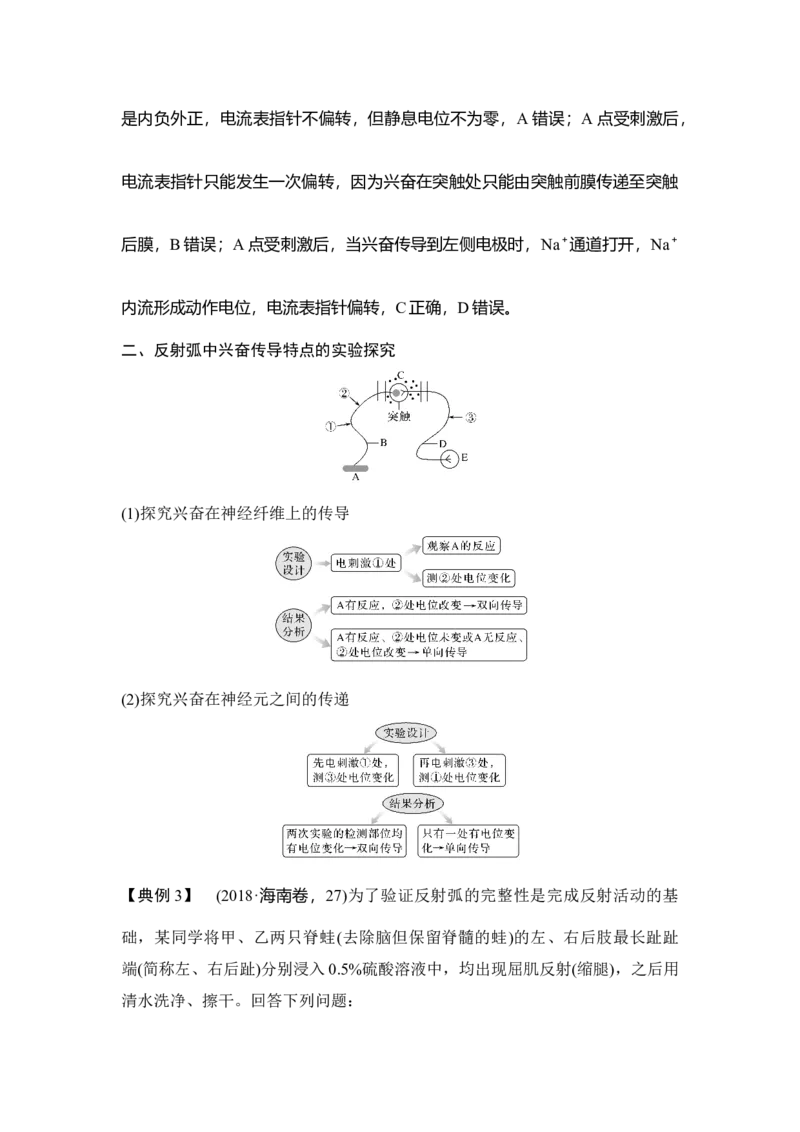 微专题14兴奋传导与传递的相关实验探究_通用版（老高考）复习资料_2023年复习资料_一轮复习_2023年高考生物一轮复习讲义+课件（全国版）_2023年高考生物一轮复习讲义（全国版）