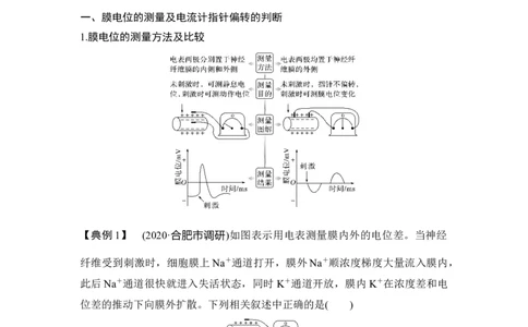 微专题14兴奋传导与传递的相关实验探究_通用版（老高考）复习资料_2023年复习资料_一轮复习_2023年高考生物一轮复习讲义+课件（全国版）_2023年高考生物一轮复习讲义（全国版）