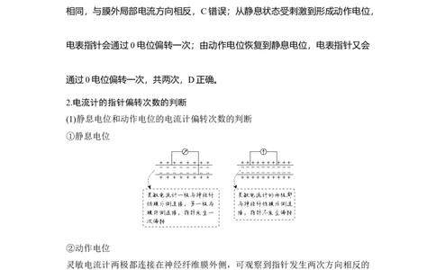 微专题14兴奋传导与传递的相关实验探究_通用版（老高考）复习资料_2023年复习资料_一轮复习_2023年高考生物一轮复习讲义+课件（全国版）_2023年高考生物一轮复习讲义（全国版）