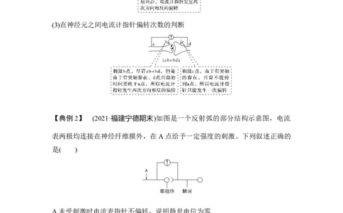 微专题14兴奋传导与传递的相关实验探究_通用版（老高考）复习资料_2023年复习资料_一轮复习_2023年高考生物一轮复习讲义+课件（全国版）_2023年高考生物一轮复习讲义（全国版）